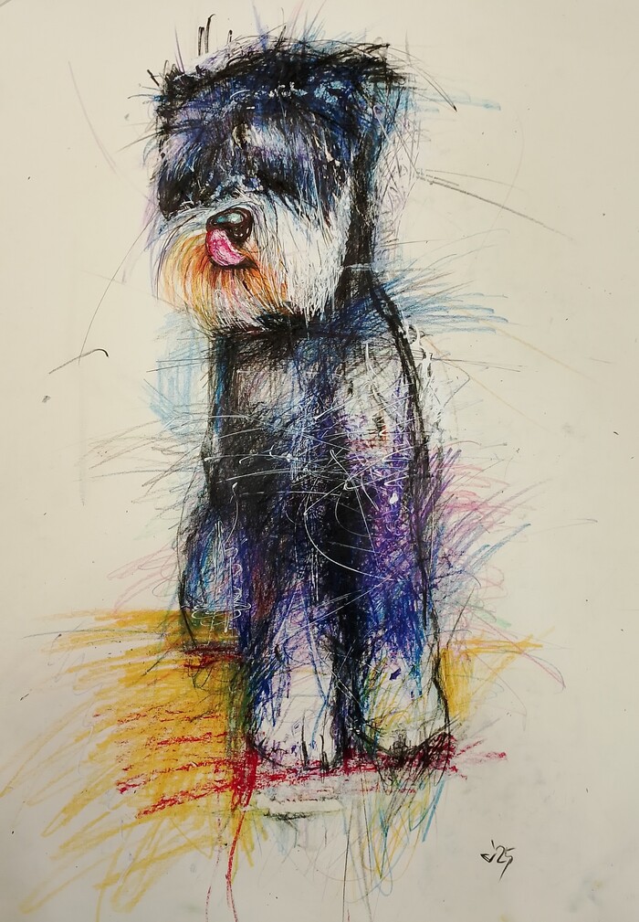 �������