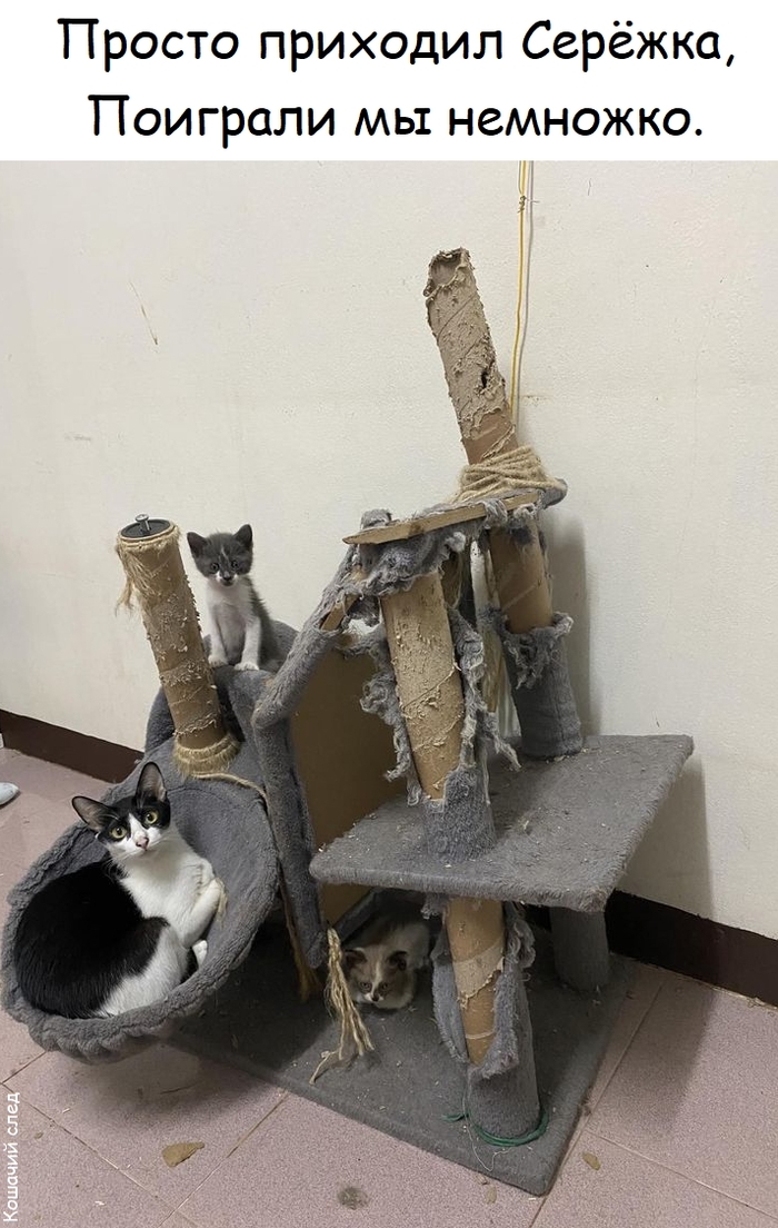 ������ �������� ������