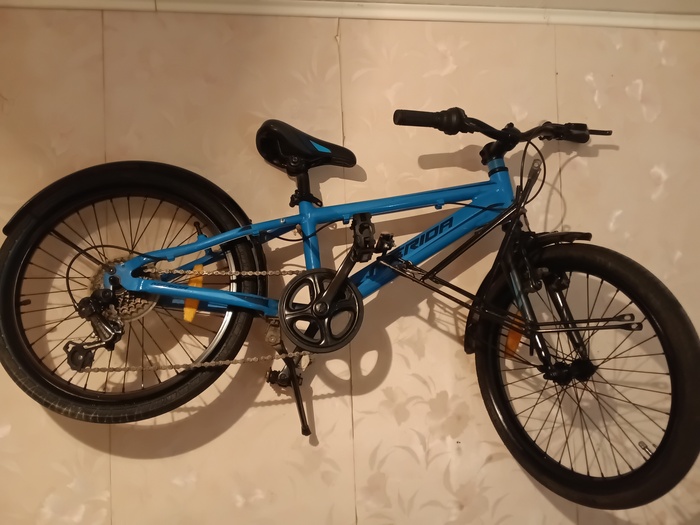 �����, ����.