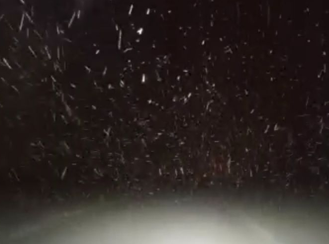 ���������� ���� ��������!