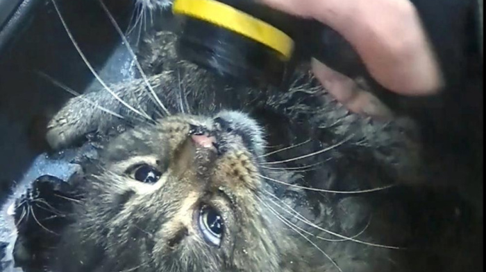 <!--noindex--><a href="https://pikabu.ru/story/zhitel_udmurtii_ustroil_salyut_v_kvartire_i_chut_ne_szhyog_kota_13538933?u=https%3A%2F%2Flife.ru%2Fp%2F1823344&t=https%3A%2F%2Flife.ru%2Fp%2F1823344&h=519bea96d7a4b108f14f17240d3c5949f906125f" title="https://life.ru/p/1823344" target="_blank" rel="nofollow noopener">https://life.ru/p/1823344</a><!--/noindex-->