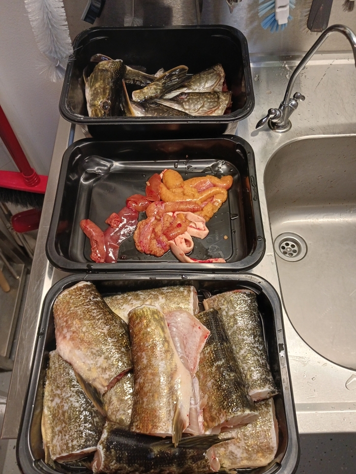 ���� ������� ���� 