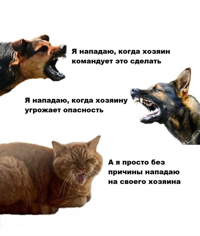 ������, �������