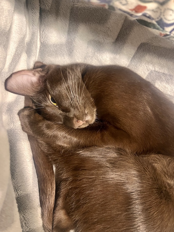 � �� ����