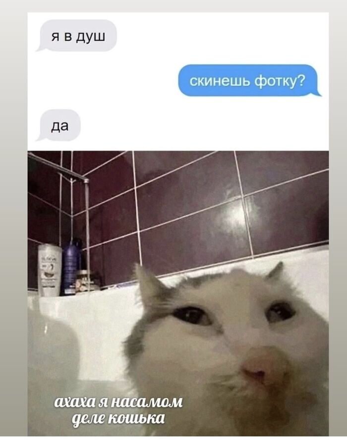 Покажи киску