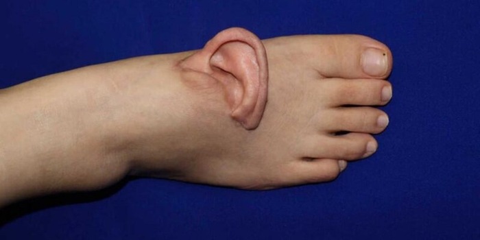 ������� �� ����� ������� ���������� ����������� ��������, ������� � ���� ������� ������ ��������� ���������� ��� ����� ��� ��������� ��������� �� �����. �� ���� �������� ������� South China Morning Post.