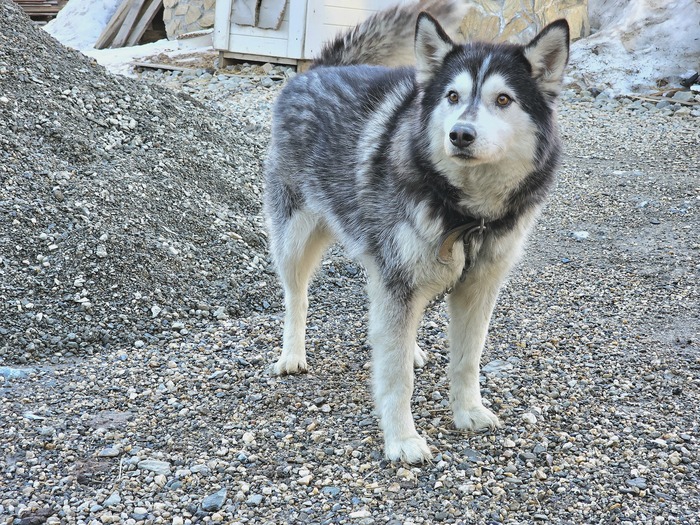 ������ ������� ������ ������ ���� ���