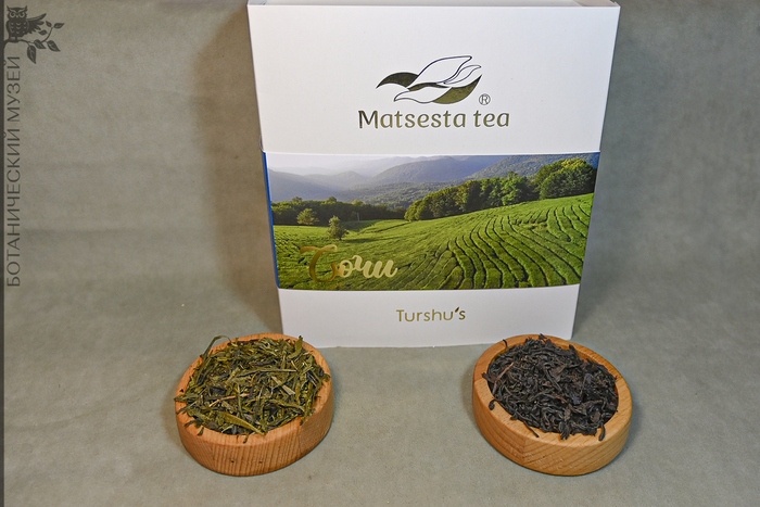 ��� ������� � ������ ������������ �������. ��� ������������� ������ �������. 2024 ���. ��������� ������������� �������� ������������� ����� ��� ���.