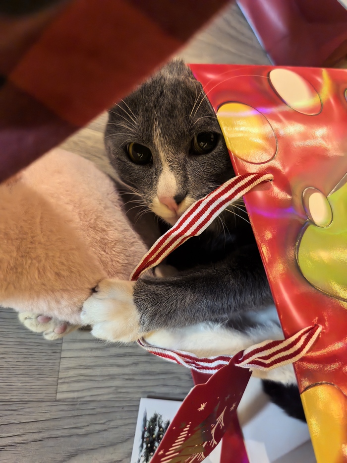 ����� �� ���� ������������ ���� "������ ���� ����� ����"�