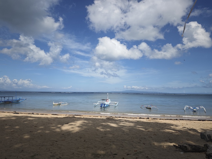 ���� �����