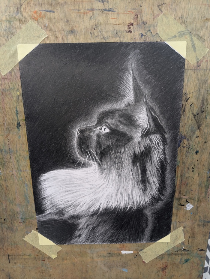 ������ �������