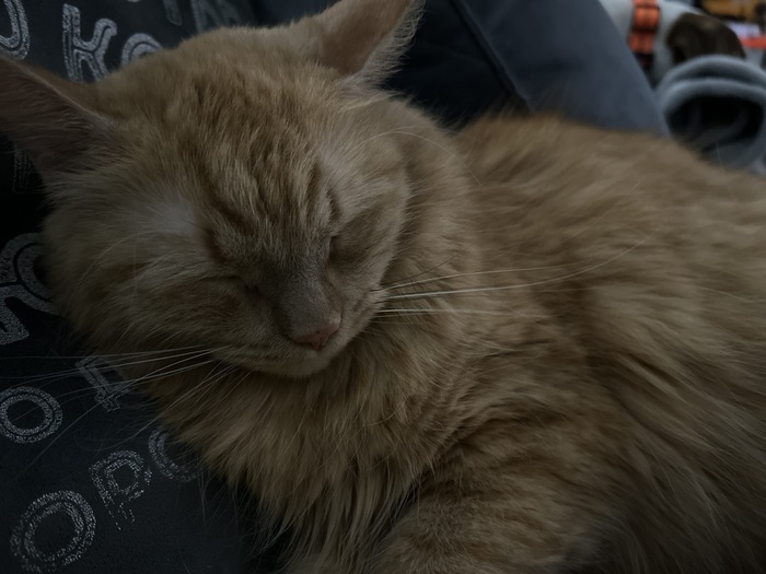 ��������� ������������