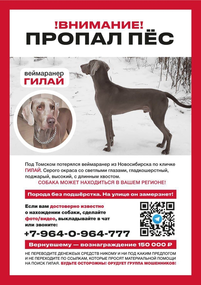 Розыск!По всем городам!