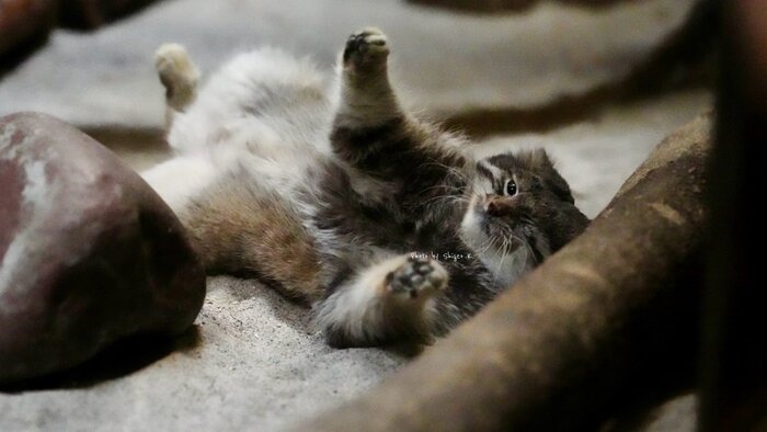 �������������!