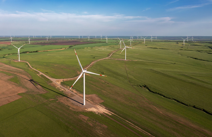 ������ ������