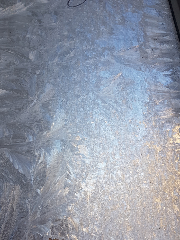 ������ ����