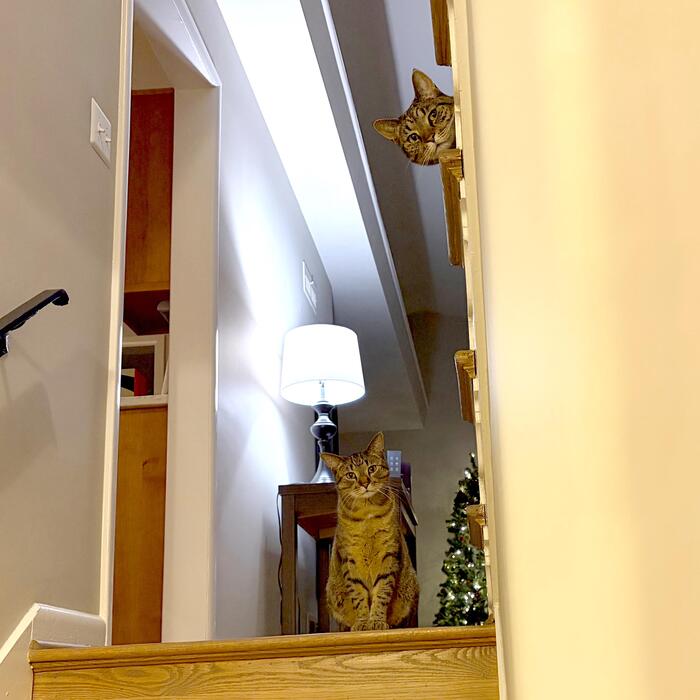 ��� �����?