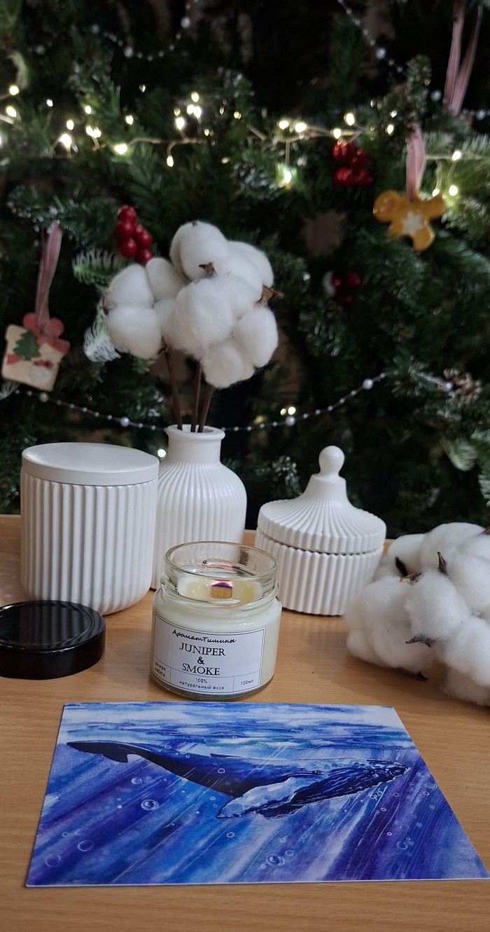 АДМ 2025-2026 Каменск-Шахтинский - Новосибирск