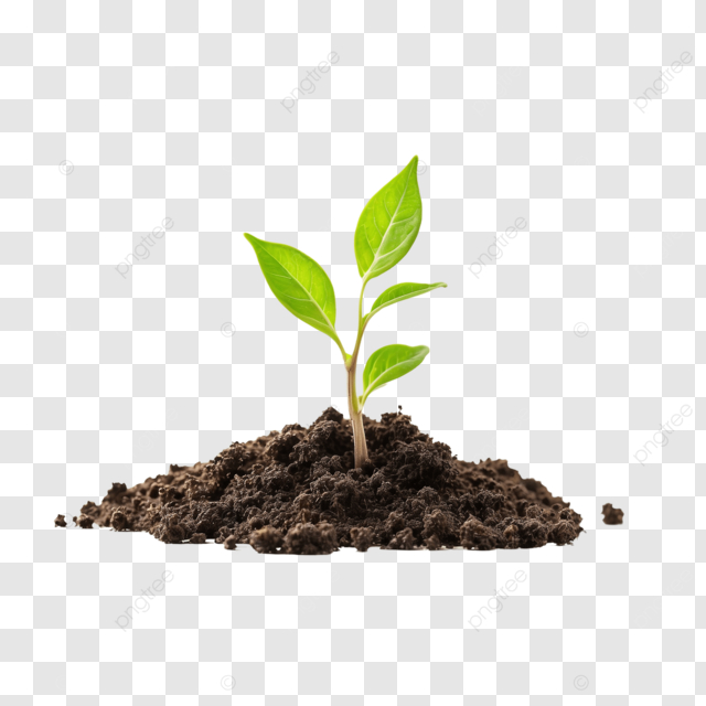 ��������� ��� ����� ������ �������� ������