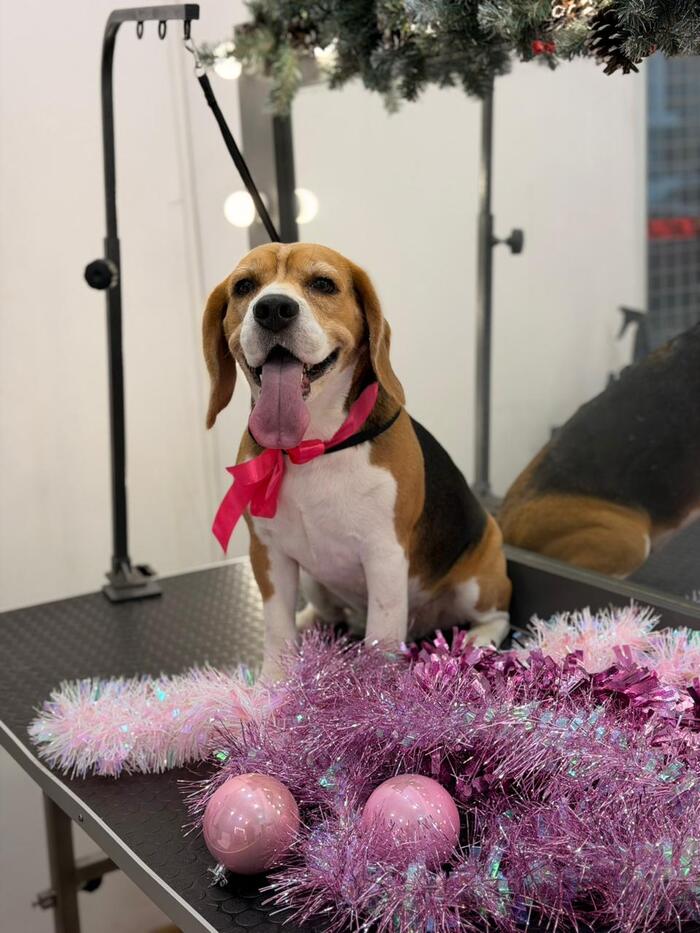 ����� ��� � �������.