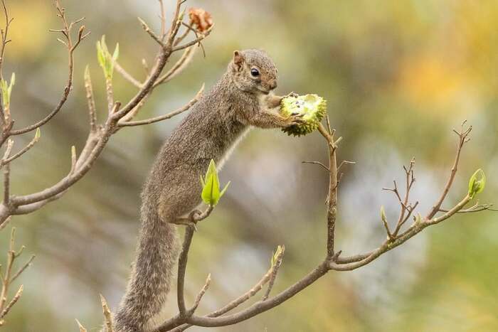 �������� �����.����-�����, �����.�������� akynesartography