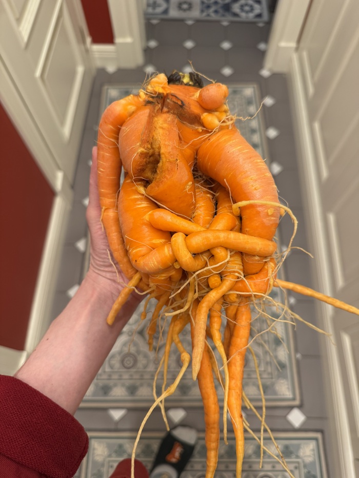 � ��� �� ������� ��� �������������, ������ ��� �����:)