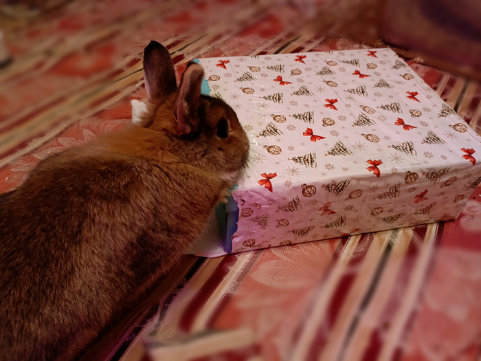 ���� ���������� �������� ���� �������� �������� ������� ������� �� ����