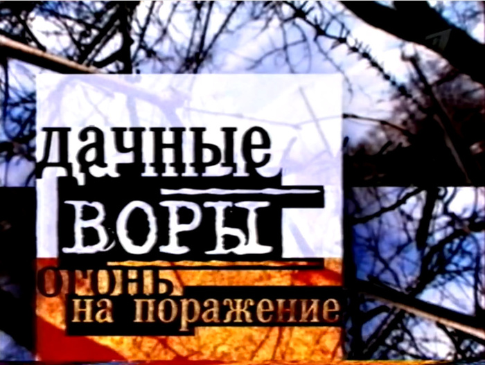 Дачные воры: огонь на поражение (2006) - Смотреть онлайн