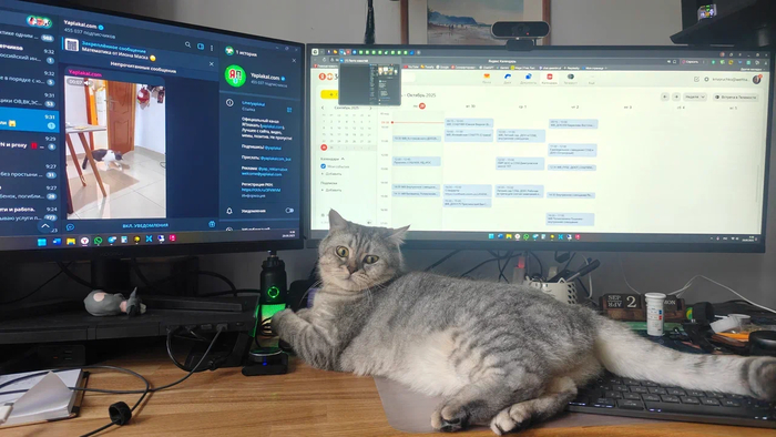 ...�� ���� ���