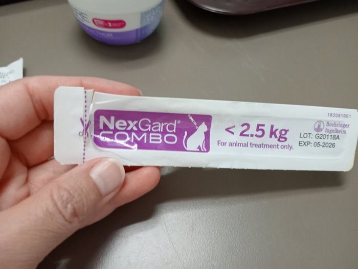 � �������� �������������, �������, ��� ���� �� �� ���������.