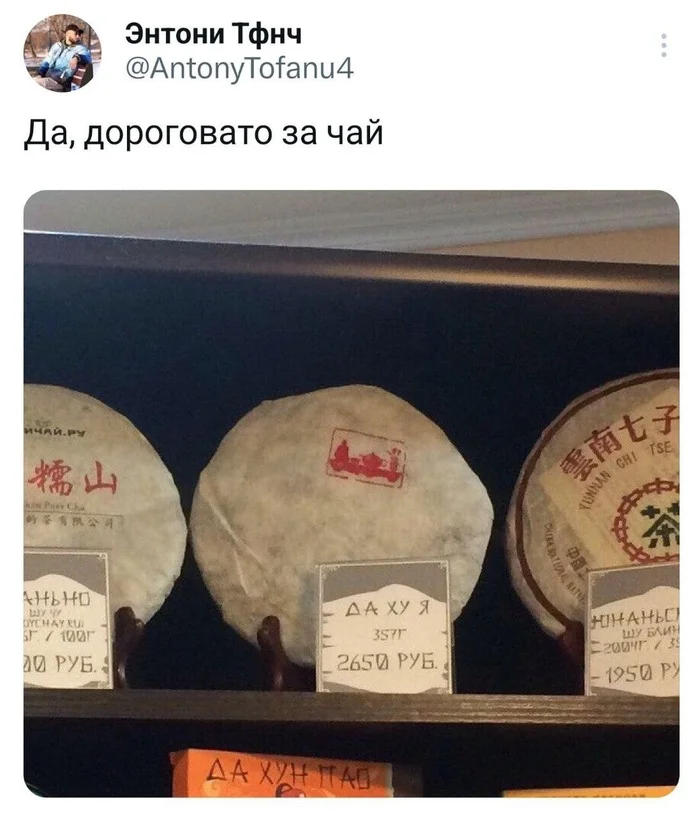 igobctyn.webp
