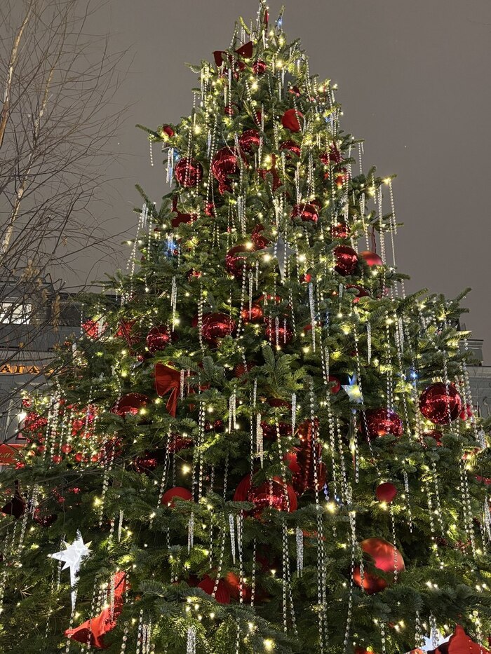 �� ��������� �����