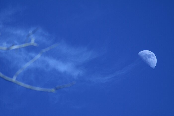 ����� �� ���� �������� ����