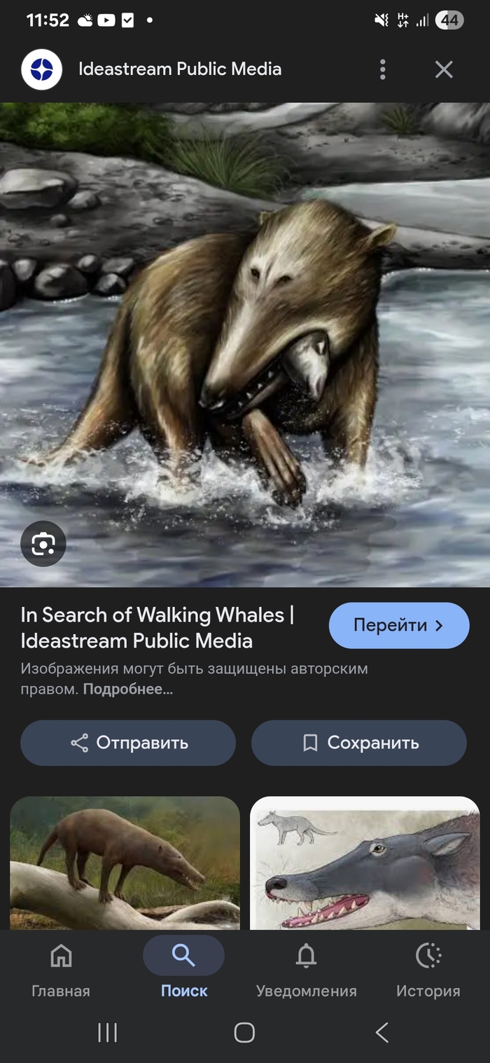 ������� (���������� � ���������,���� ����������� ����� ����������� ��� � ������ ��������)