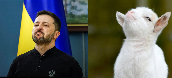 �������� ����������� ����