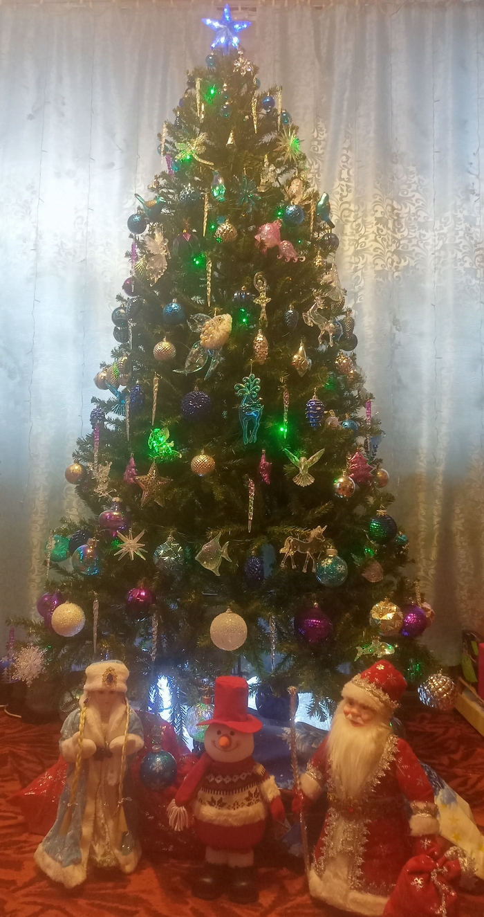 ��� ���� 2025