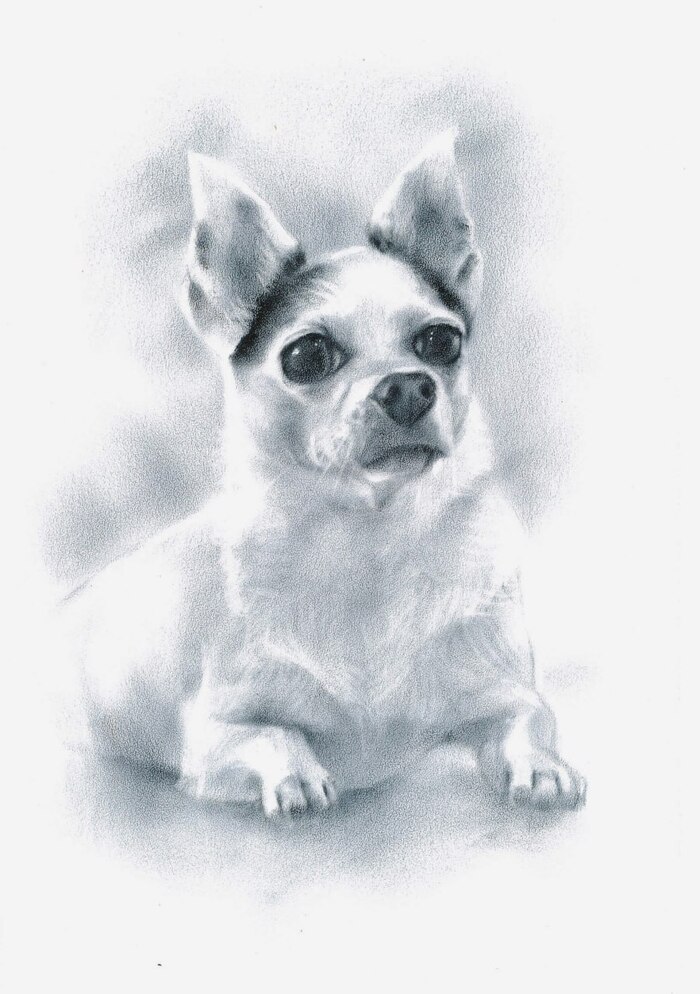 ��� ��� ����� ������?