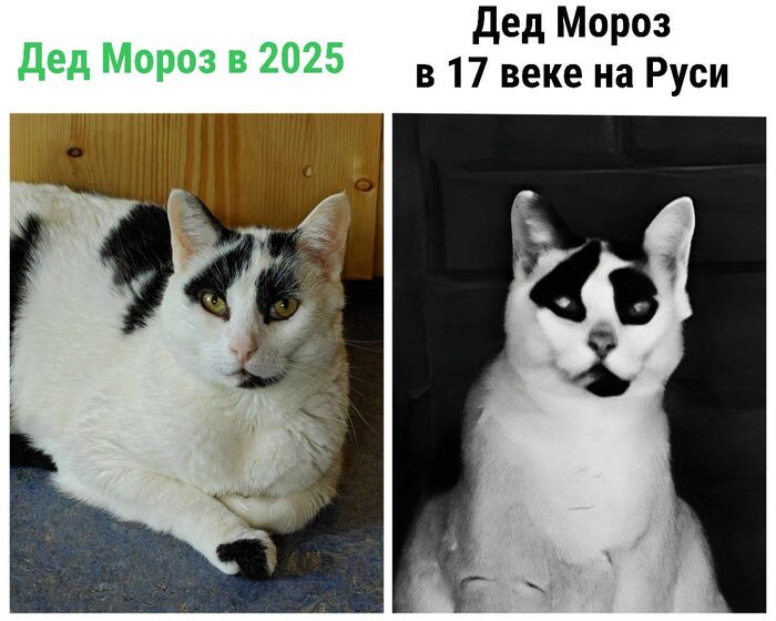 � ������ ���� �� ��� ������ �� ��������