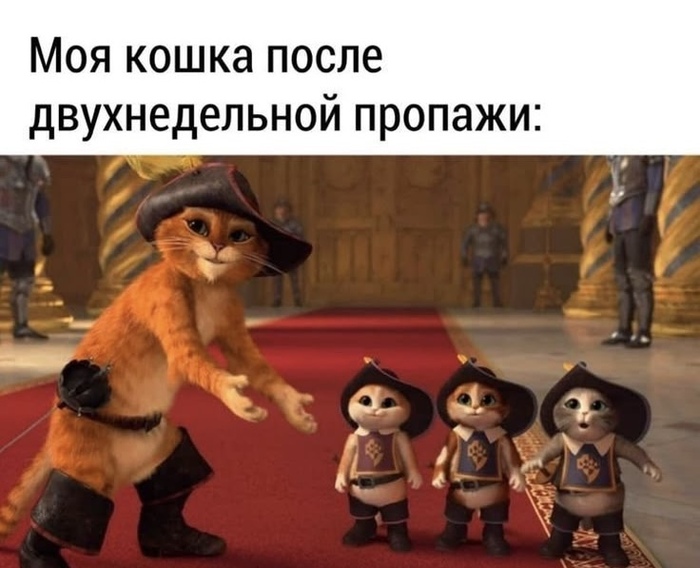 ������ ��� ����� �� ����