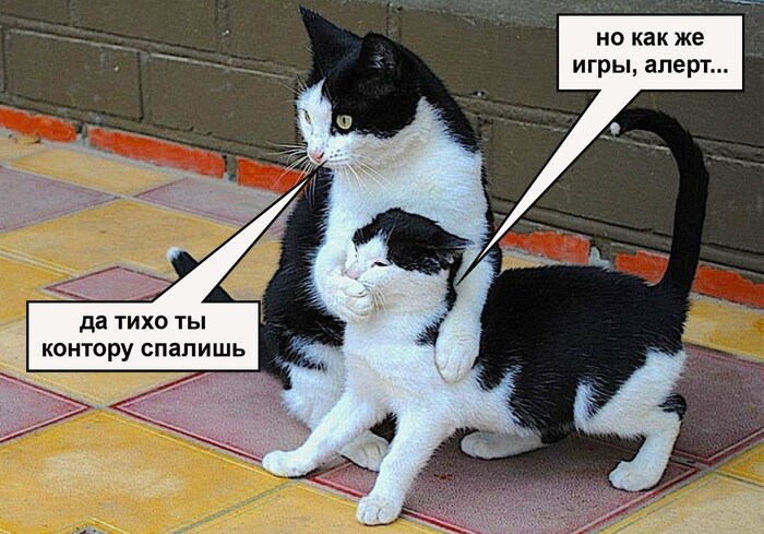 ����� �� ���� ������� ������