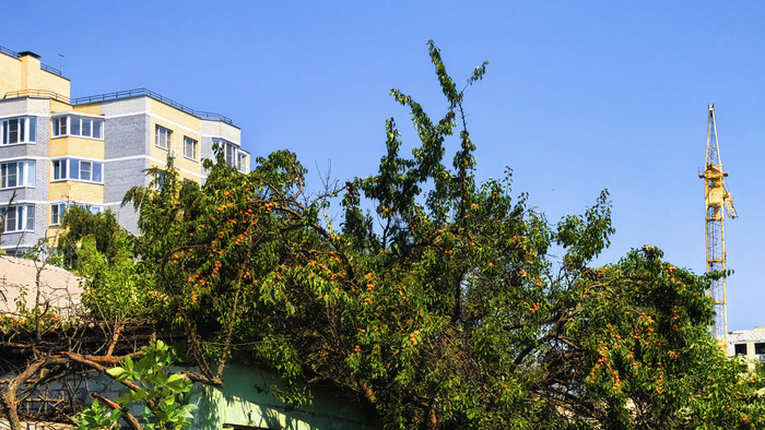 ����������� ����� ������� ���� 2025 ����