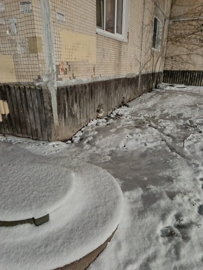 �� ����� �����, �������, �� ��� �� ���������� ����� �������� �����