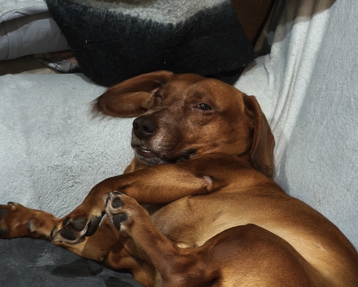 ����� �� ���� ������� ���� ���� ������