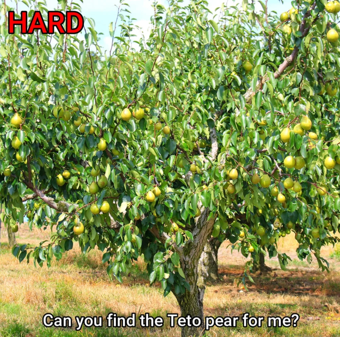 ������� ����