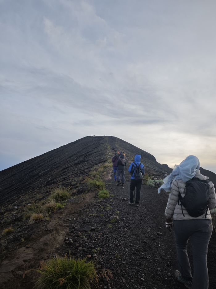 ������ �������