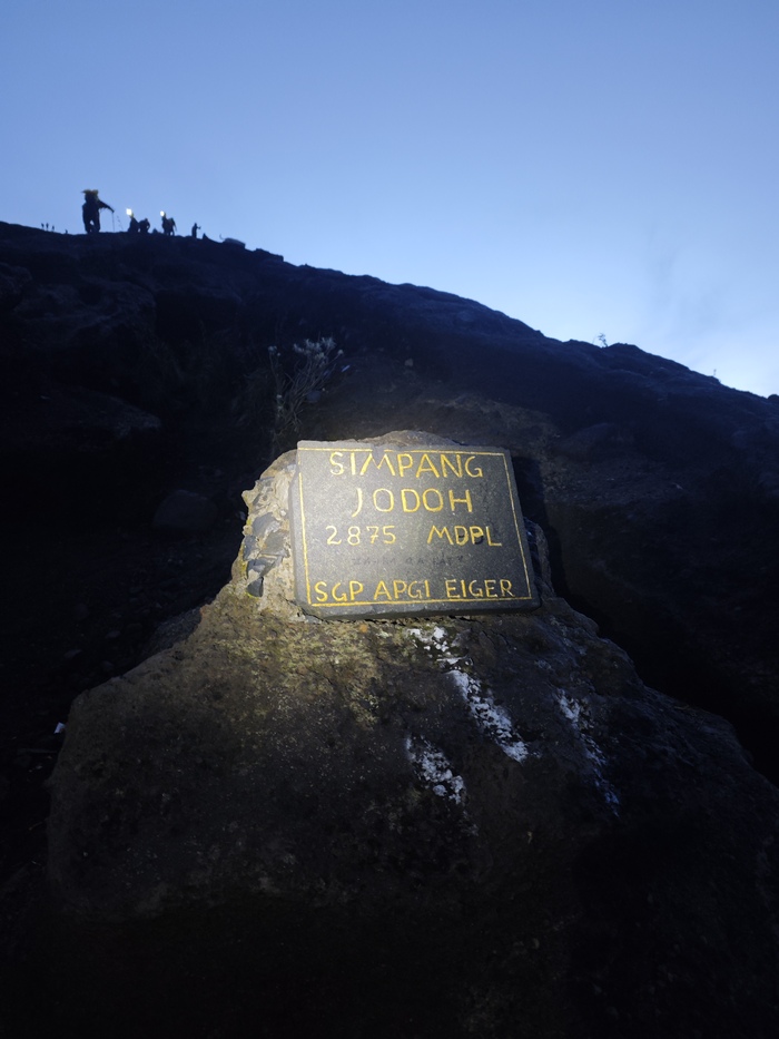 ����� �������� ���