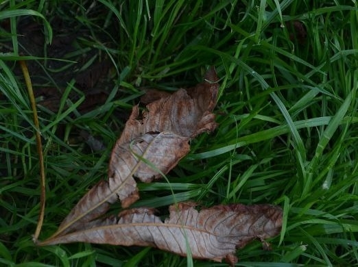 С чего начался мой путь в фотографии