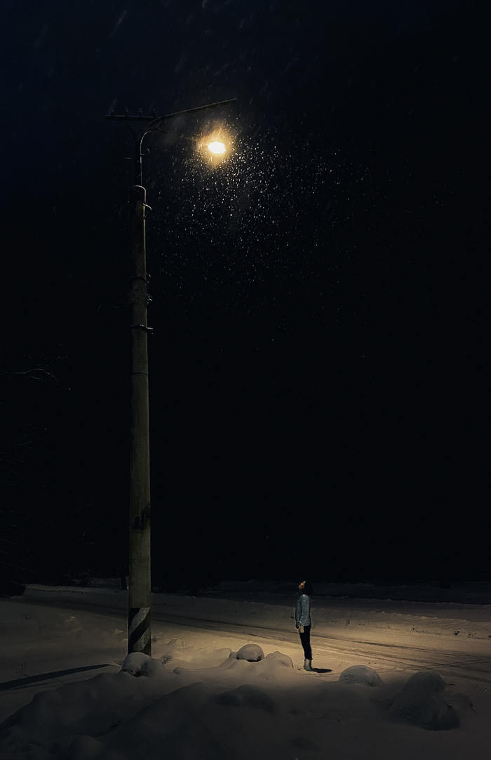 ������ ���������