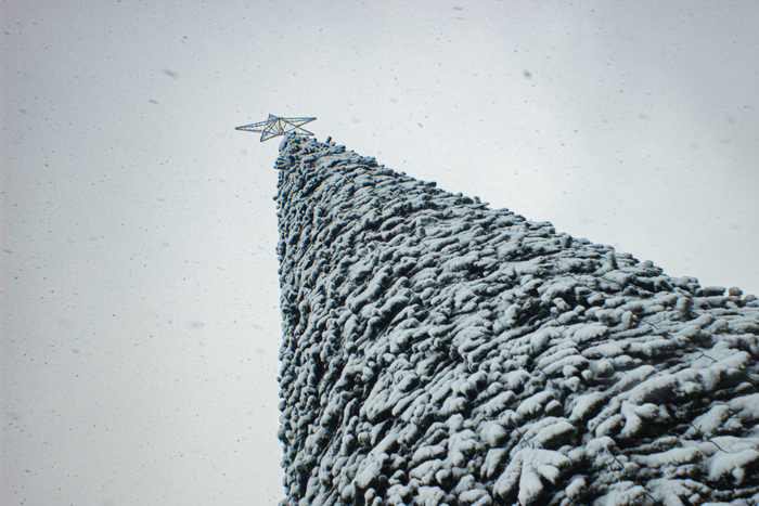 ���������� �������