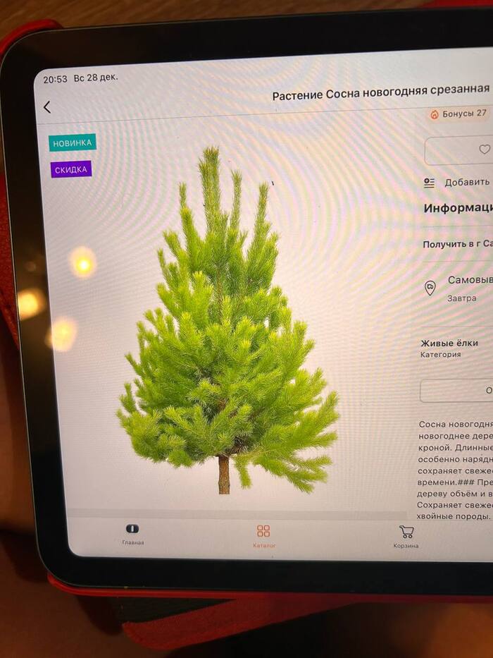 � ��� ������ ��� ���� �� �������� � ����� ������� ��� ������.